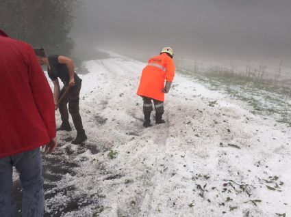 resized 13901396 160327334401840 5375636815458600463 n